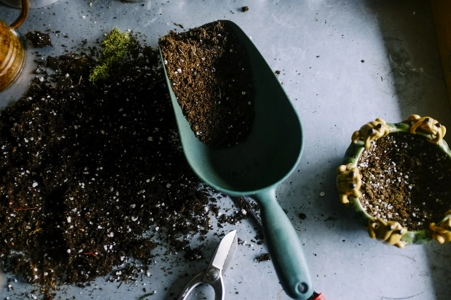 Terra e instrumentos de jardinagem, cuidado com o que cresce