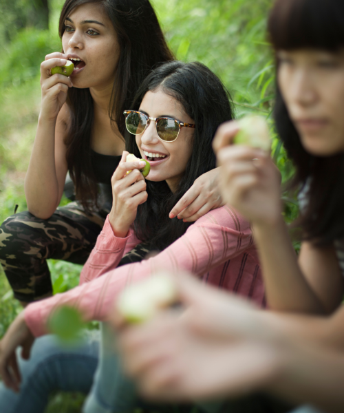 Mulheres em prática de yoga e meditação durante retiro de cura emocional para divorciadas.